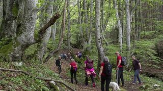 Samobor: Festival knjiga i planina “Brdo knjiga” Samobor: Festival knjiga i planina “Brdo knjiga”
