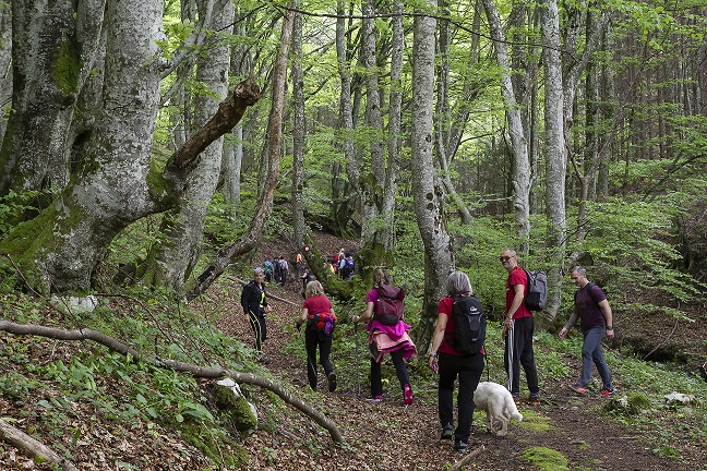 Samobor: Festival knjiga i planina “Brdo knjiga” Samobor: Festival knjiga i planina “Brdo knjiga”
