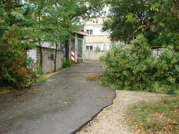 18.7.2009. Posljedice nevremena u ul. F. Tudjmana i B.J.Jelacica u Zadru 18.7.2009. Posljedice nevremena u ul. F. Tudjmana i B.J.Jelacica u Zadru