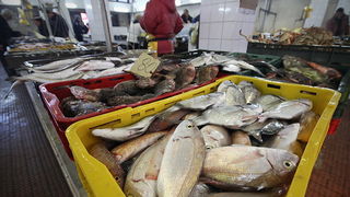 Đir po pešakariji 24. veljače 2012, Foto. Saša Čuka Đir po pešakariji 24. veljače 2012, Foto. Saša Čuka