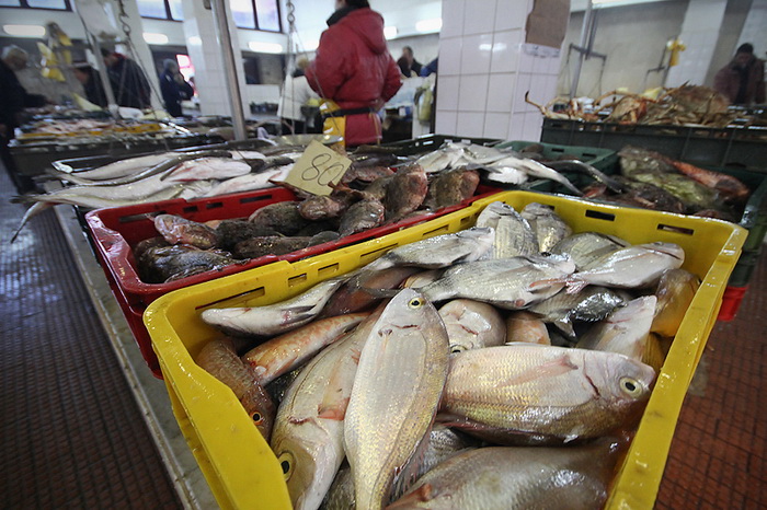 Đir po pešakariji 24. veljače 2012, Foto. Saša Čuka Đir po pešakariji 24. veljače 2012, Foto. Saša Čuka