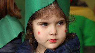 Virski karnevalić 2016. Virski karnevalić 2016.