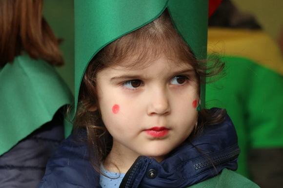 Virski karnevalić 2016. Virski karnevalić 2016.