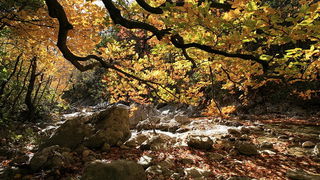 Paklenica: Boje jeseni, Foto: Mladen Radolovic Mrlja