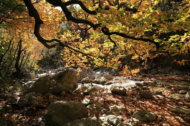 Paklenica: Boje jeseni, Foto: Mladen Radolovic Mrlja