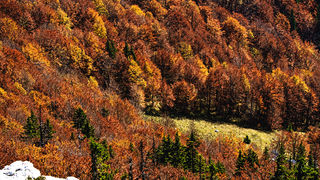 Đir do Zavižana, sjeverni Velebit, foto: Leo Banić