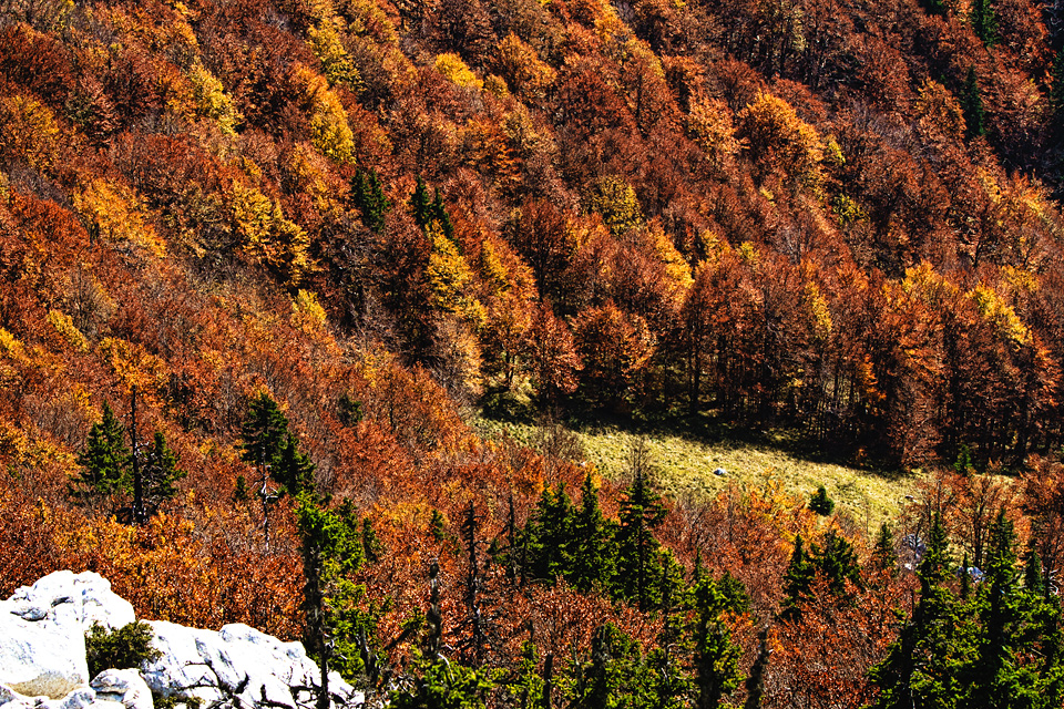 Đir do Zavižana, sjeverni Velebit, foto: Leo Banić