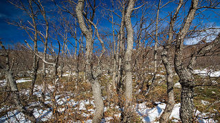 Đir do Libinja 9. travnja 2012. (foto:Saša Čuka) Đir do Libinja 9. travnja 2012. (foto:Saša Čuka)