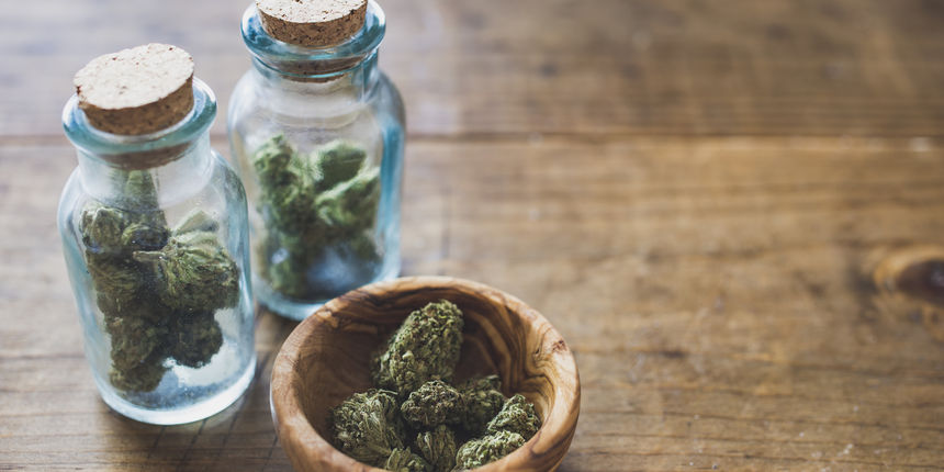 Marihuana može ublažiti kroničnu bol kod odraslih pa se sve više američkih saveznih država zalaže za liberalizaciju zakona o marihuani i predlažu je kao alternativu opioidima Marihuana može ublažiti kroničnu bol kod odraslih pa se sve više američkih saveznih država zalaže za liberalizaciju zakona o marihuani i predlažu je kao alternativu opioidima