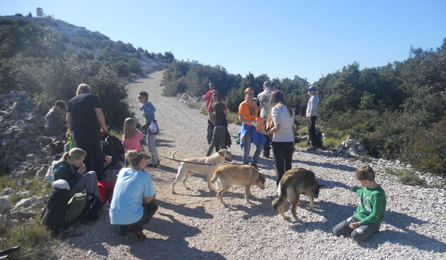 Ekološka akcija čišćenja obale i zaraslih staza na Pašmanu