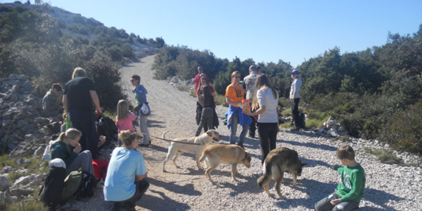 Ekološka akcija čišćenja obale i zaraslih staza na Pašmanu Ekološka akcija čišćenja obale i zaraslih staza na Pašmanu