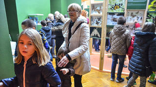 11. Noć muzeja u Zadru, foto-Iva Perinčić 11. Noć muzeja u Zadru, foto-Iva Perinčić