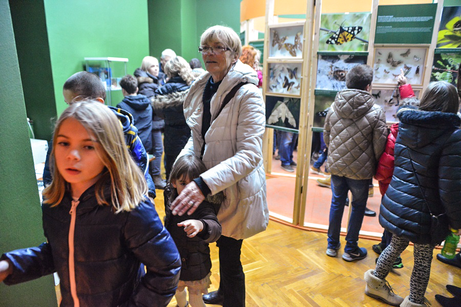 11. Noć muzeja u Zadru, foto-Iva Perinčić 11. Noć muzeja u Zadru, foto-Iva Perinčić