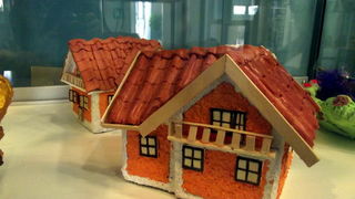 Otvorenje izložbe “Živjeti sa shizofrenijom”