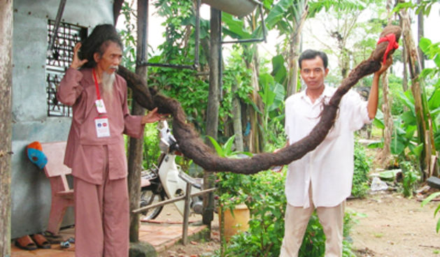 Tran Van Hay – najduža kosa na svijetu (Foto: wordpress.com)