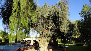 Skitnja Casablancom, foto: Pero Šindija