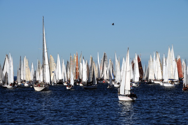 Trst: Barcolana 2009.