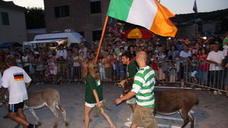 Image 1088989 (auto)