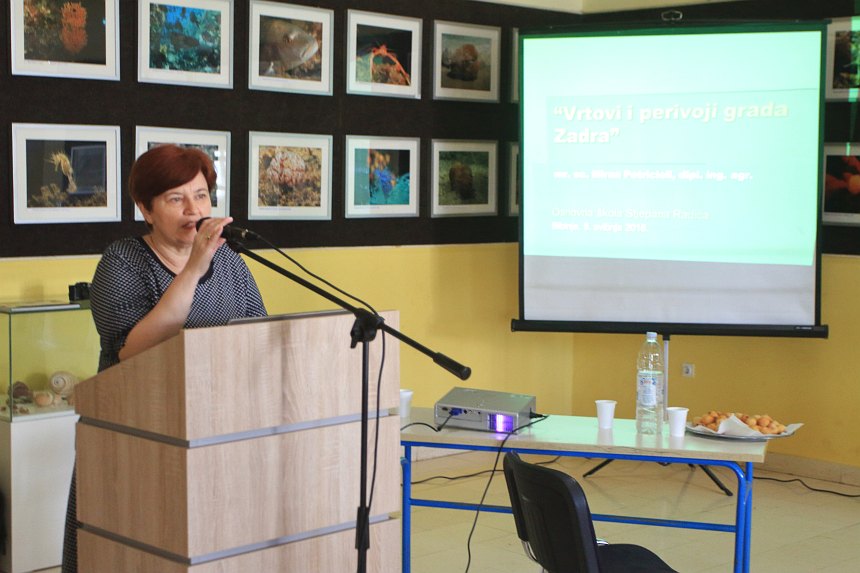 Velika akcija čišćenja podmorja u Bibinjama, foto: L.Banić