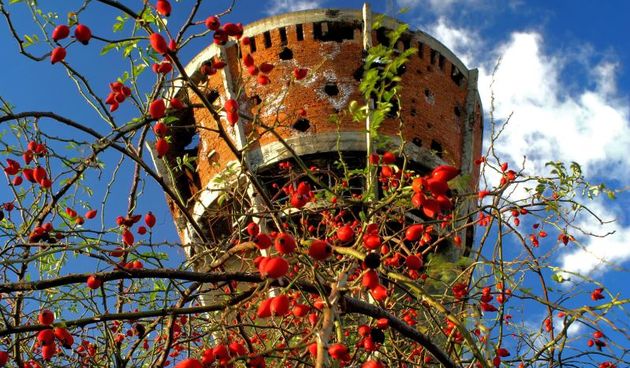 Vodotoranj Vukovar (Foto:turizamvukovar.hr)