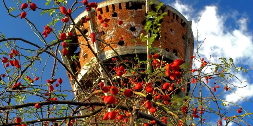 Vodotoranj Vukovar (Foto:turizamvukovar.hr)