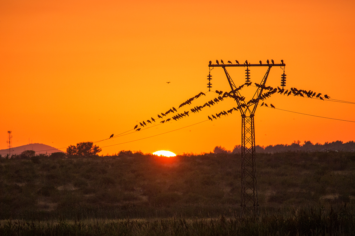 Spektakularno noćno nebo nad Vranskim jezerom Spektakularno noćno nebo nad Vranskim jezerom