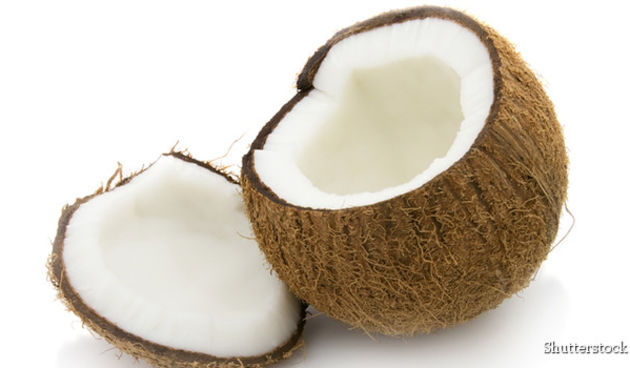 Kokos, foto: sensaklub.hr