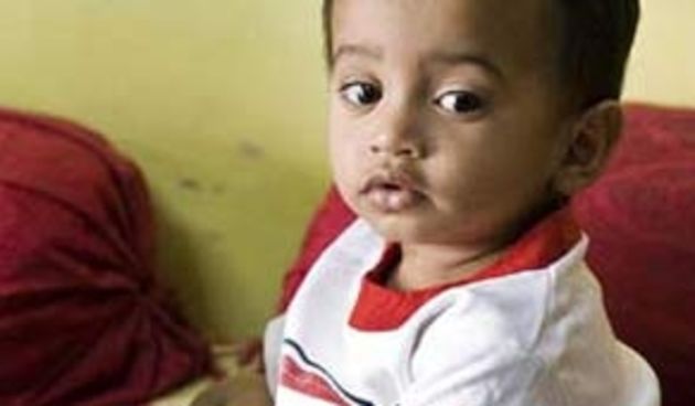 Mali Indijac (Foto: hemmy.net)