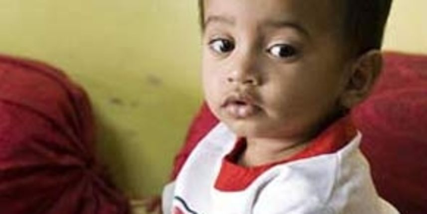 Mali Indijac (Foto: hemmy.net)