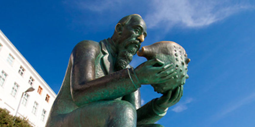 Đir po gradu 4. rujna 2012., Sveučilište u Zadru