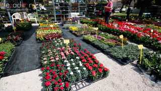 Đir po gradu, četvrtak 19. travnja 2018. Đir po gradu, četvrtak 19. travnja 2018.