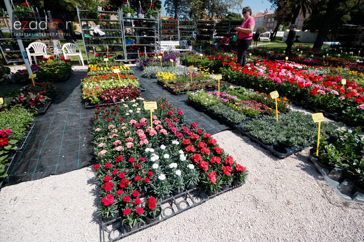 Đir po gradu, četvrtak 19. travnja 2018. Đir po gradu, četvrtak 19. travnja 2018.