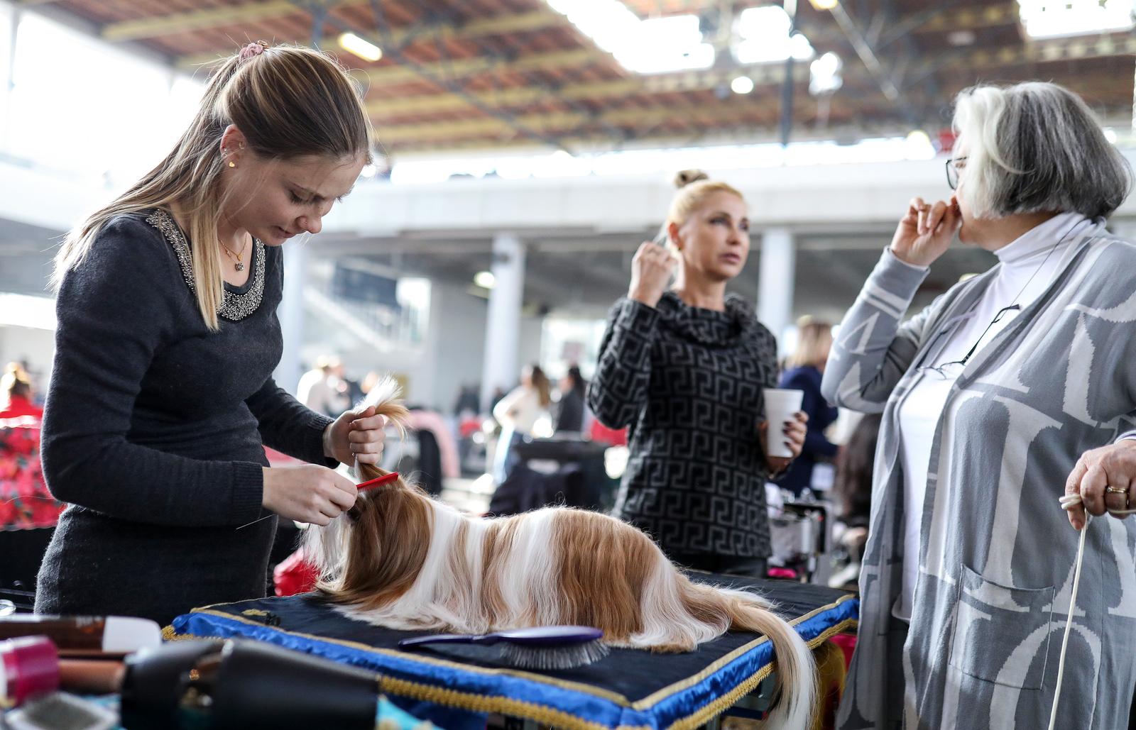 Izložba pasa na Zagrebačkom velesajmu Izložba pasa na Zagrebačkom velesajmu