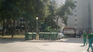 Sruseni bor u ulici Ante Starcevica