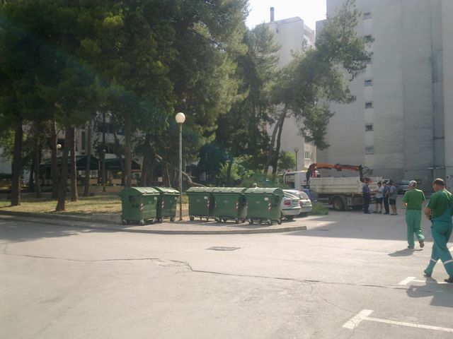 Sruseni bor u ulici Ante Starcevica