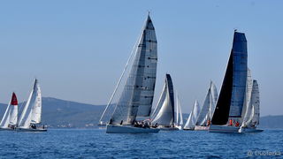 Sva lica “Zadarske koke” Sva lica “Zadarske koke”