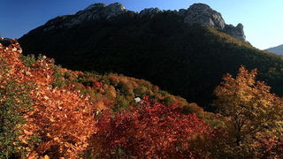 Paklenica: Boje jeseni, Foto: Mladen Radolovic Mrlja