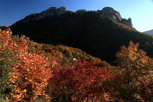 Paklenica: Boje jeseni, Foto: Mladen Radolovic Mrlja