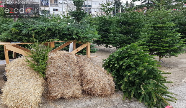 Božićna drvca, jelke, Nordijske jelke