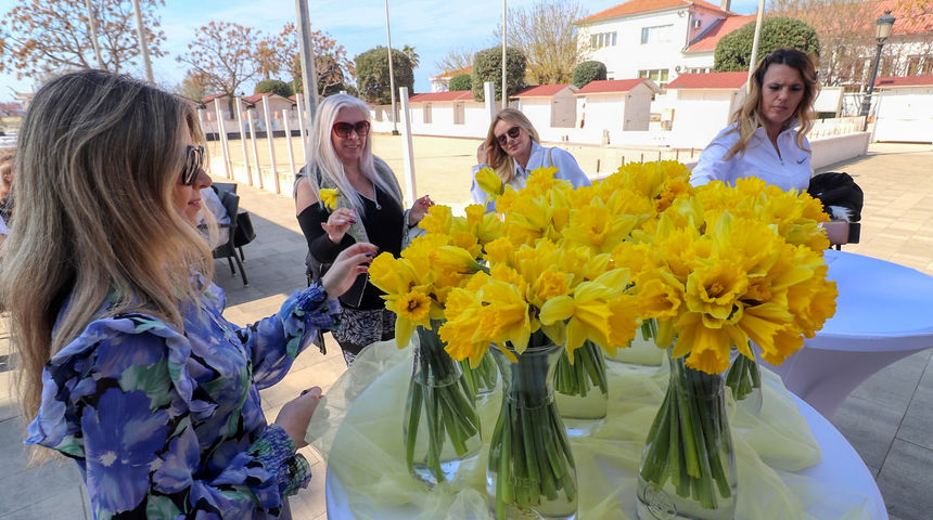 Dan narcisa u Viru Dan narcisa u Viru