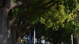 Transformeri stigli u Zadar