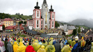 Image 1183767 (auto)