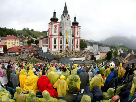 Image 1183767 (auto)