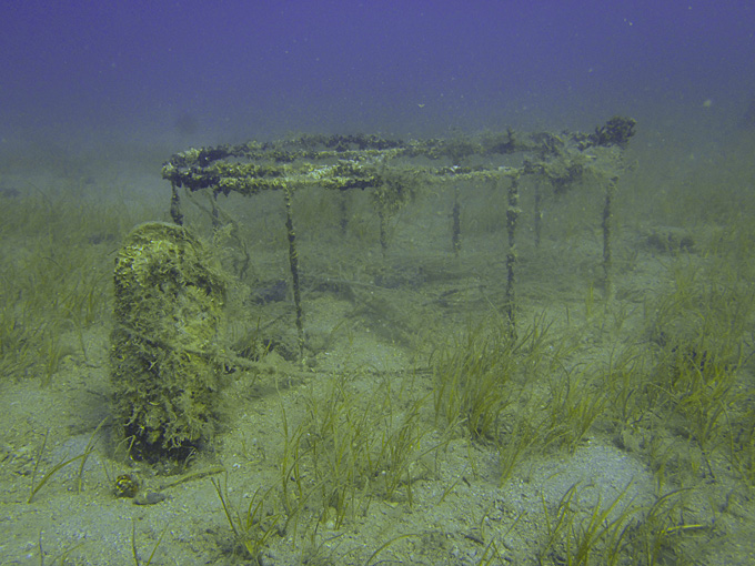 OLYMPUS DIGITAL CAMERA OLYMPUS DIGITAL CAMERA