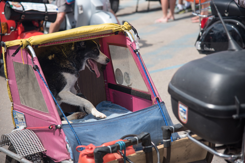 Spektakularni defile vespaša, foto: Vinko Pešić Spektakularni defile vespaša, foto: Vinko Pešić