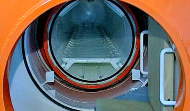 Barokomora (Foto: Siniša Klarica)