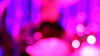 Arsenal: Večer pjesama Tomislava Ivčića (foto:Saša Čuka)