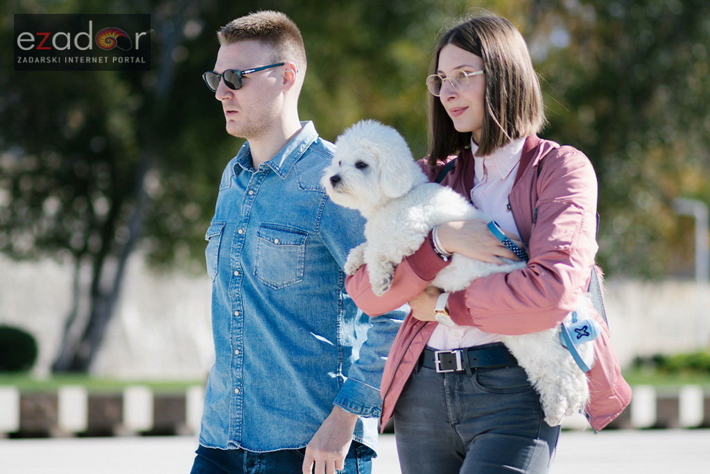 Subotnja špica 28. listopada 2017. Subotnja špica 28. listopada 2017.