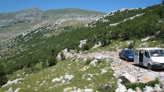 Image 1177339 (auto)