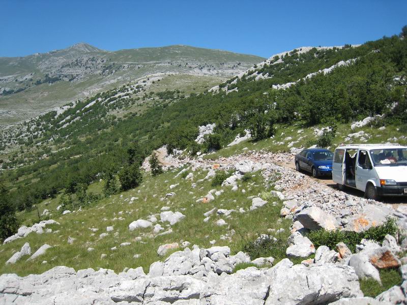 Image 1177339 (auto)